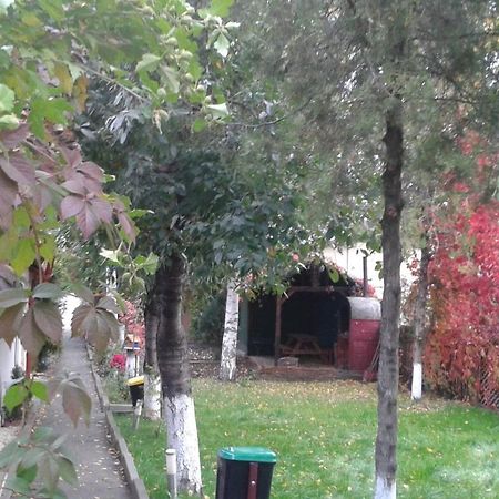 Camping Paradisul Soferilor Onesti Cameră foto