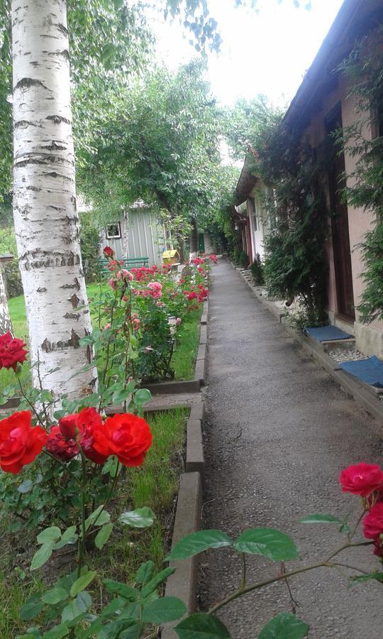 Camping Paradisul Soferilor Onesti Cameră foto
