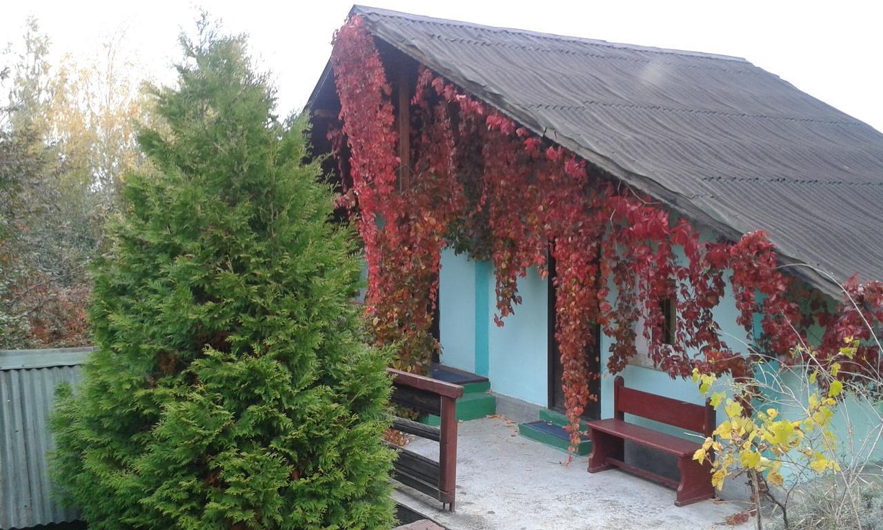 Camping Paradisul Soferilor Onesti Cameră foto