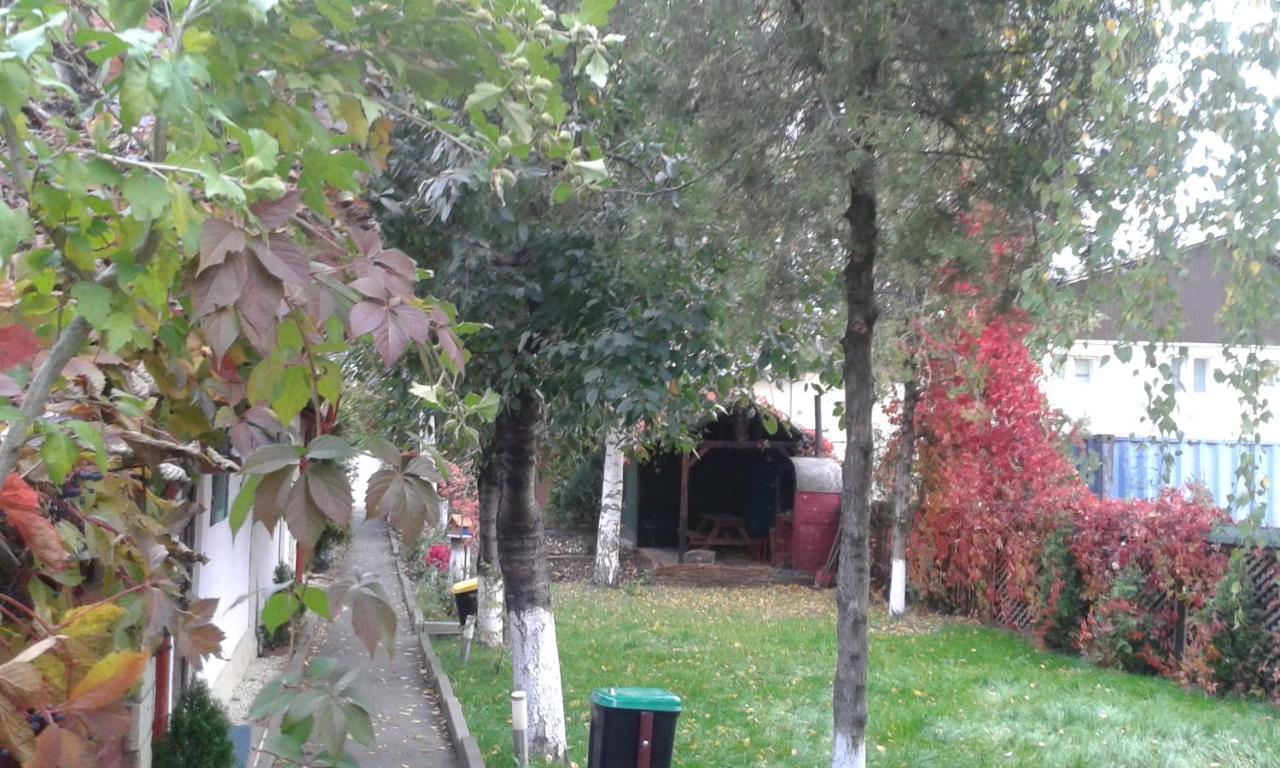 Camping Paradisul Soferilor Onesti Cameră foto
